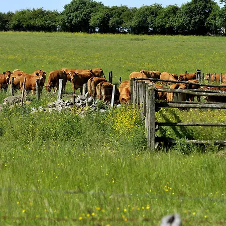 Logis Restaurant Relais Du Gue De Selle 3*