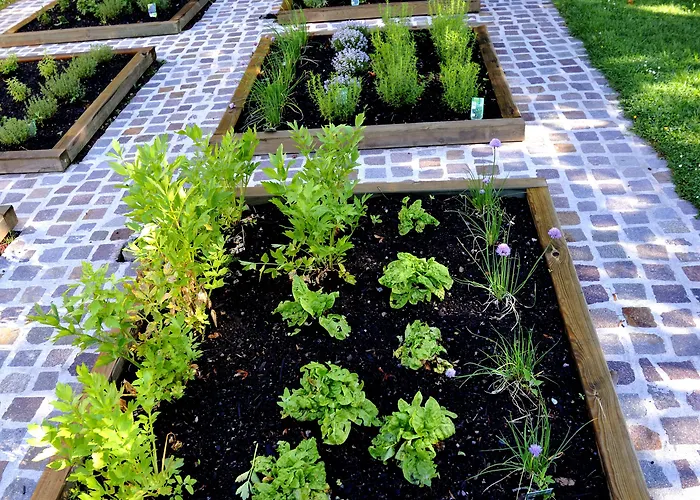 فندق Logis Restaurant Relais Du Gue De Selle 3*