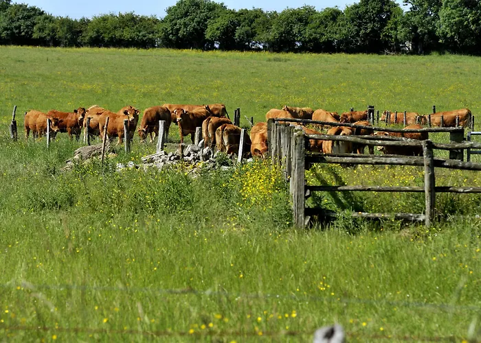 Logis Restaurant Relais Du Gue De Selle 3*
